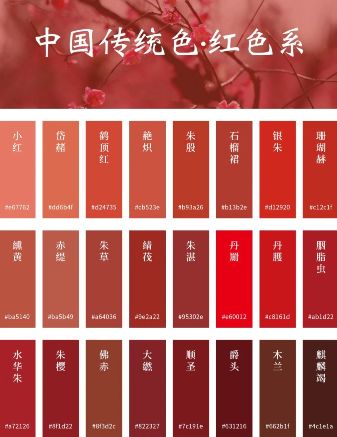 中国传统色——红色系
肃肃花絮晚，菲菲红素轻。——《春运》
西南科技大学雷普凡 制