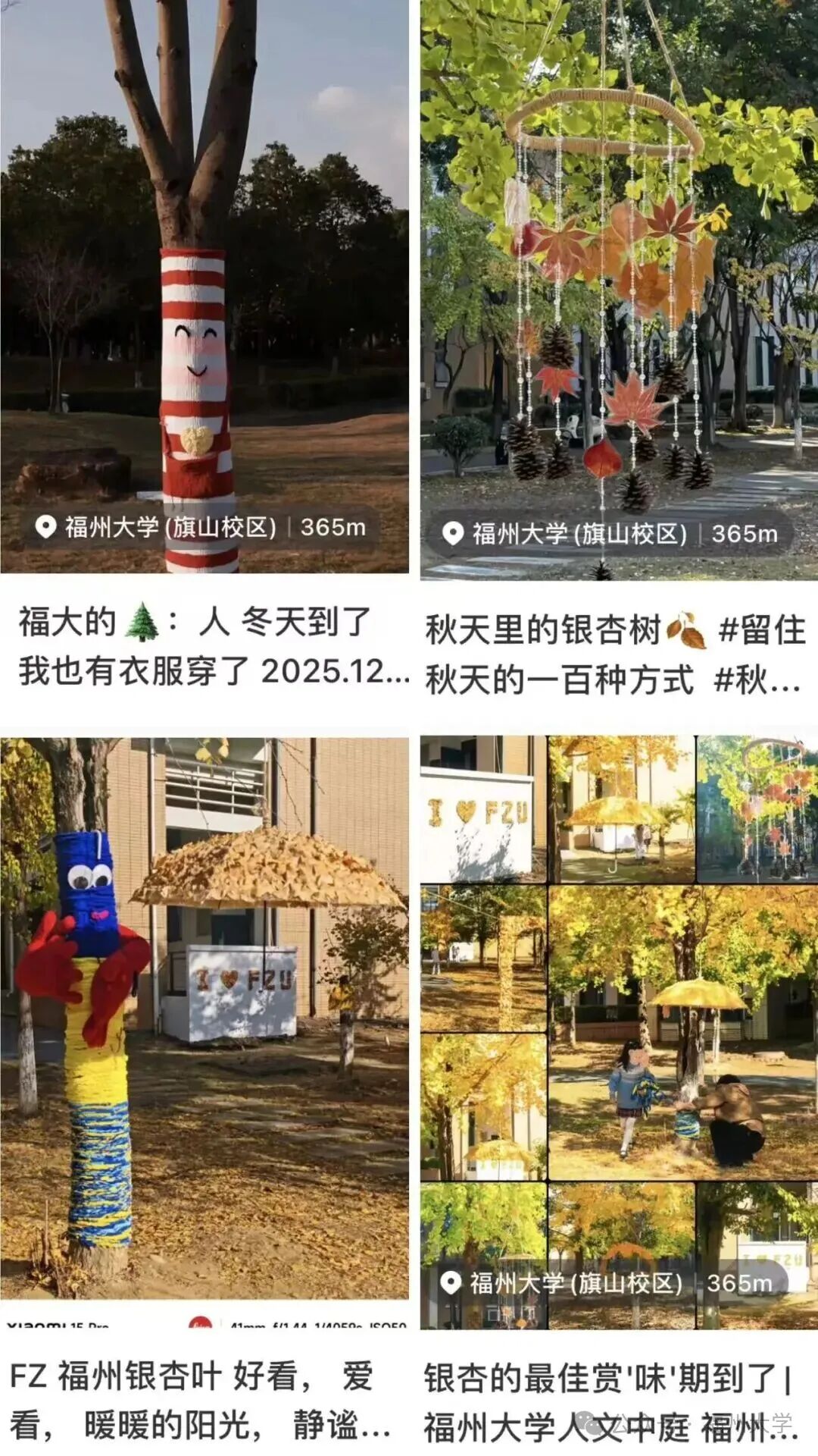 1.jpg 1.jpg
