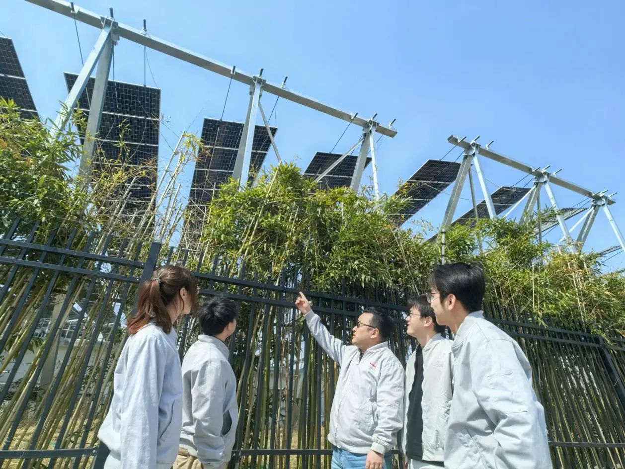 兰大助力新能源，风光无限！.jpg