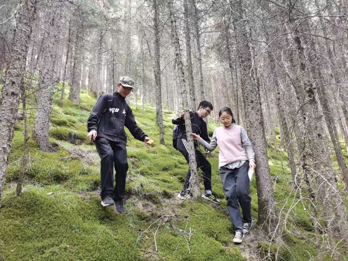 微信图片_20251031130243_28_158.jpg 微信图片_20251031130243_28_158.jpg