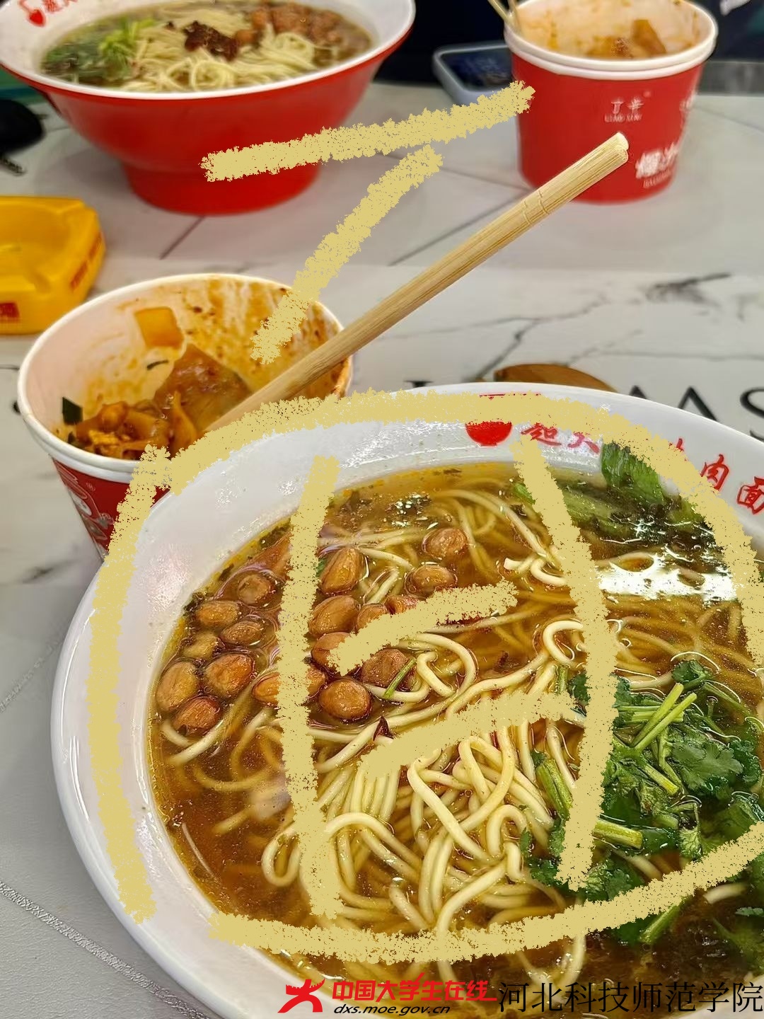 图3 周梦菲 摄 徐依林 绘.jpg 图3 周梦菲 摄 徐依林 绘.jpg