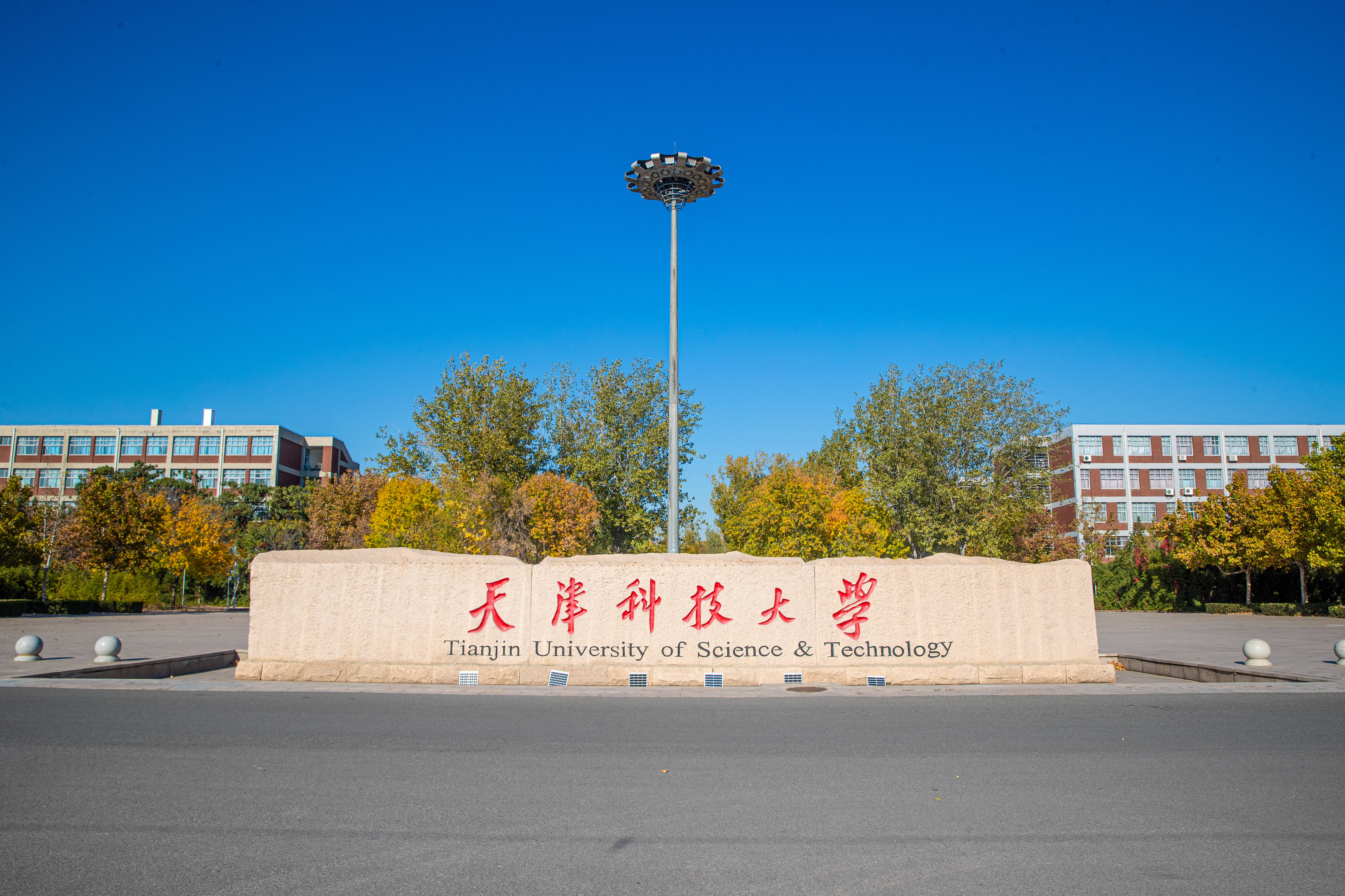 叮咚~先锋影像美图来袭! - 天津科技大学 - 校园号-中国大学生在线