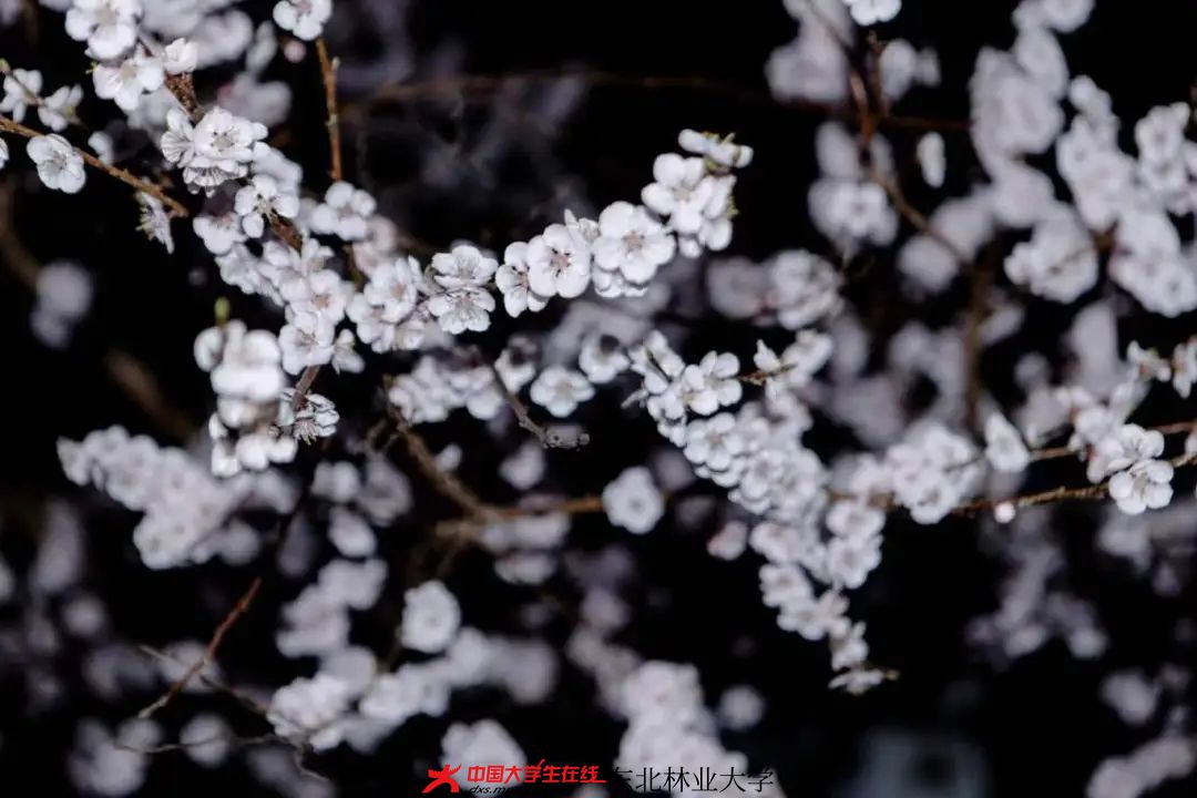 微信图片_20240413144608.jpg