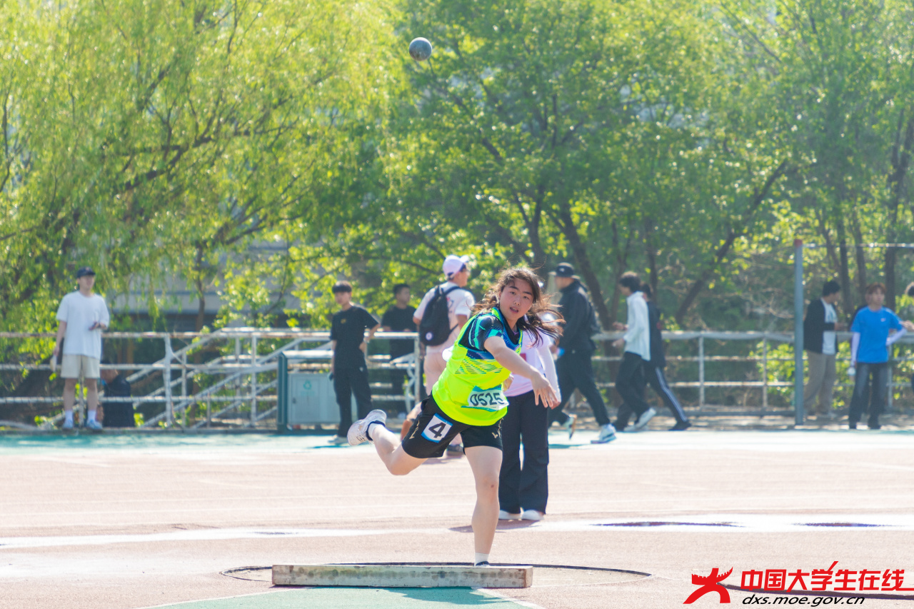 微信图片_20260525220140_481_2.png