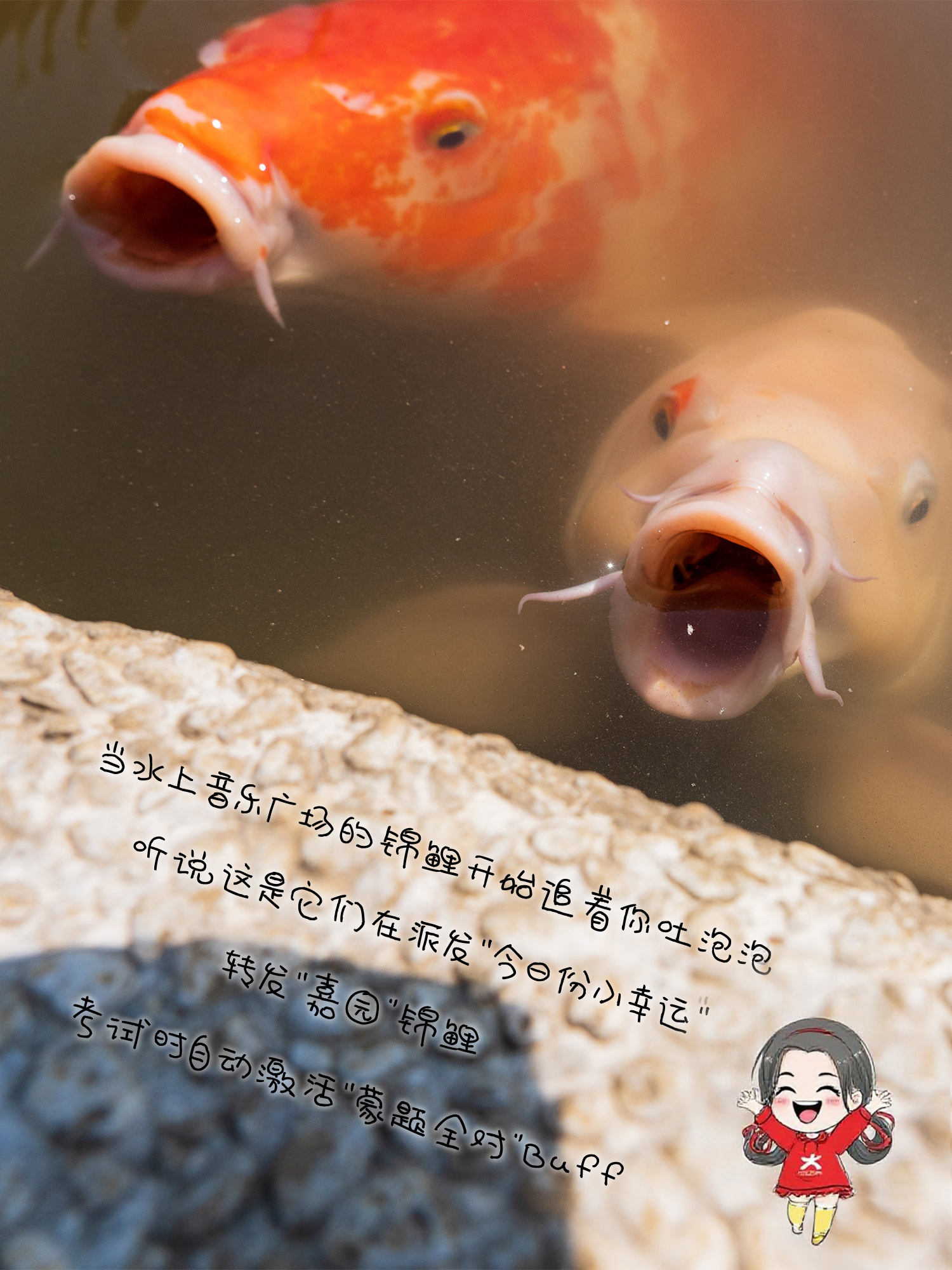 《锦鲤》当水上音乐广场的锦鲤开始追着你吐泡泡，听说这是它们在派发“今日份小幸运”！转发“嘉园”锦鲤，考试时自动激活“蒙题全对”buff。（摄影：赵维婧彤）