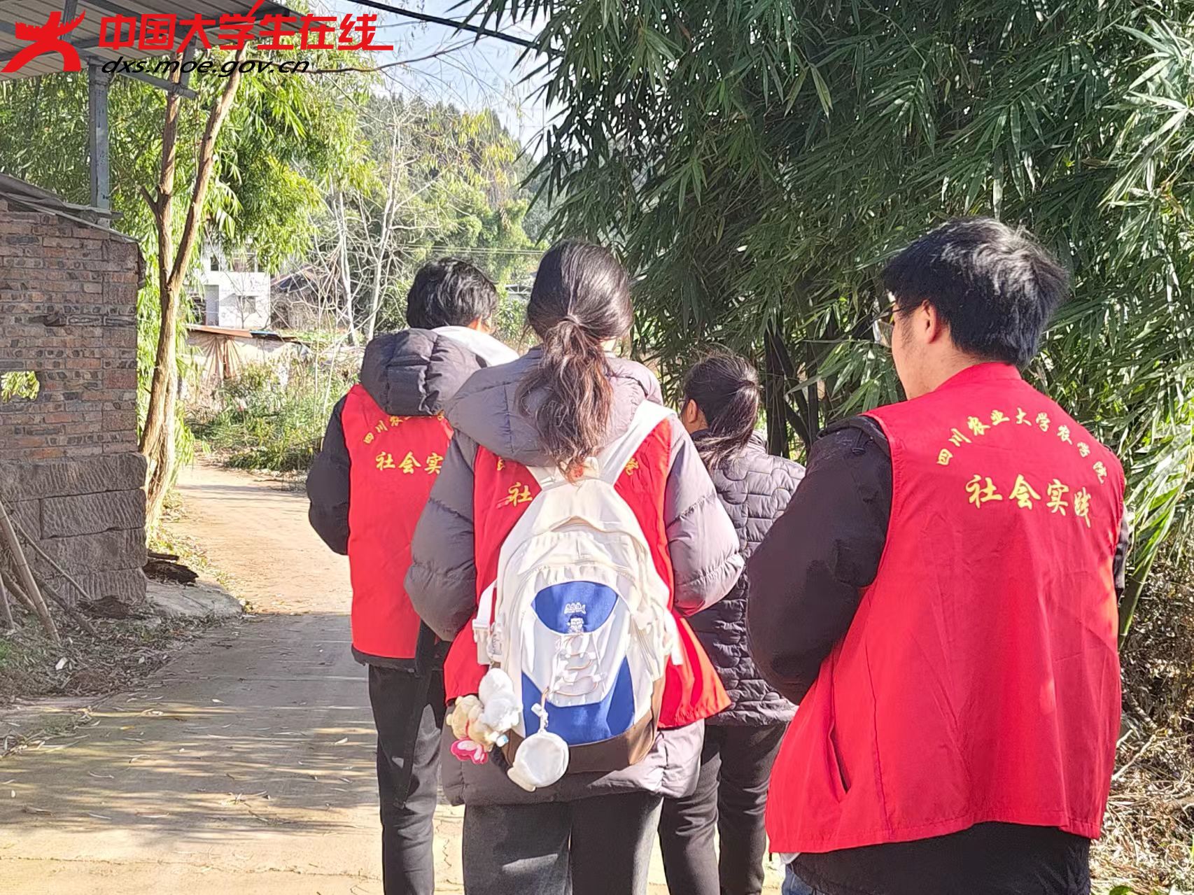 微信图片_20250201163258.jpg 微信图片_20250201163258.jpg