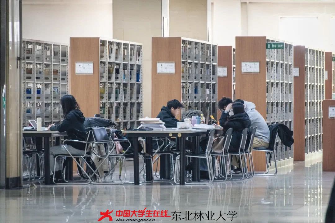 y1.jpg y1.jpg