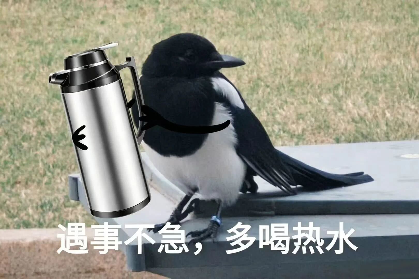 微信图片_2026-06-27_153250_706.jpg
