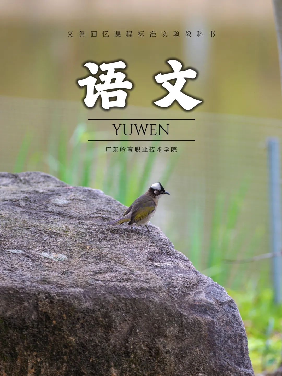 广州校区萌宠鸟儿 陈哲昊摄