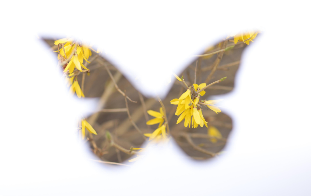 6.png 6.png