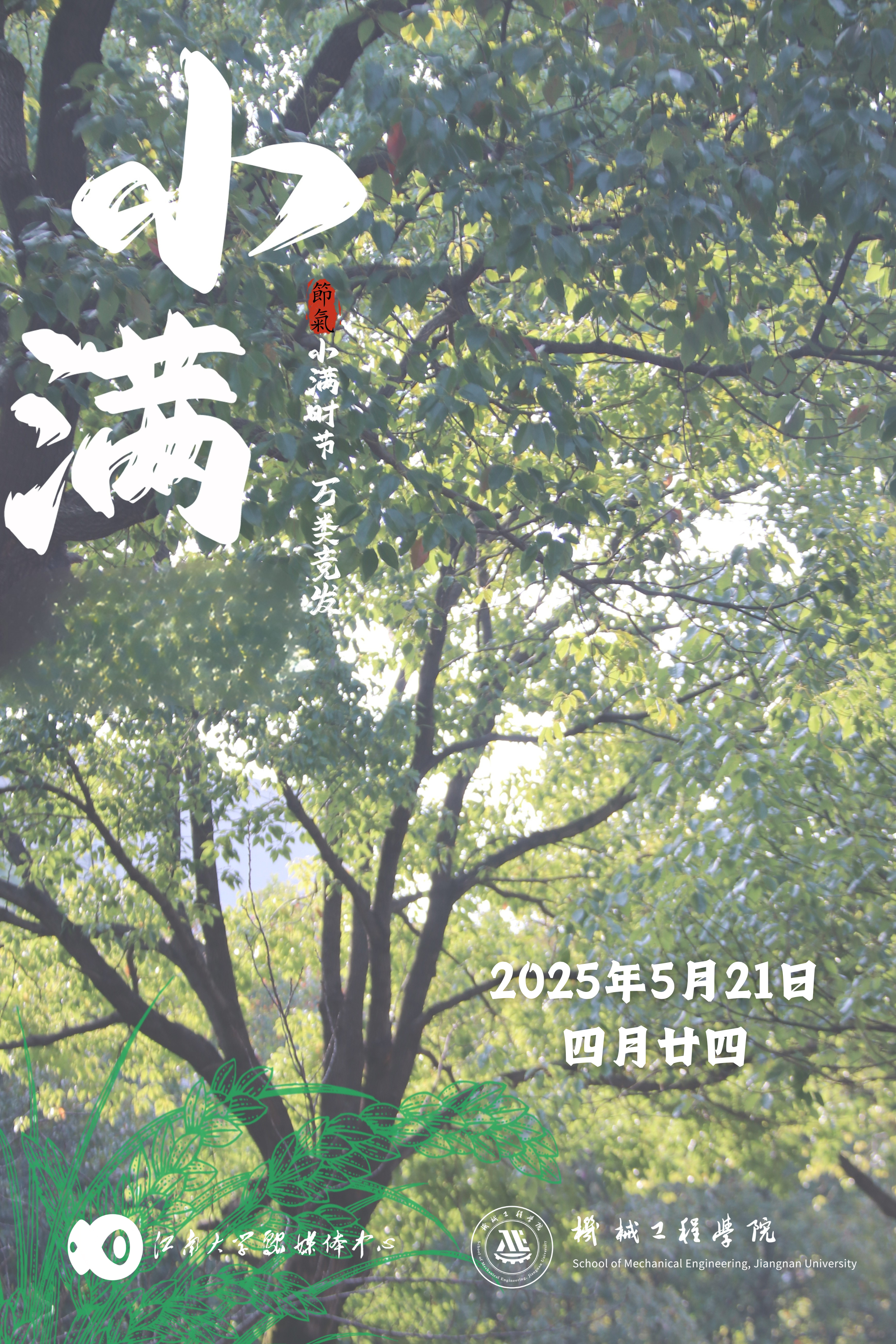 小满时节，万类竞发（图片来源：江南大学）
