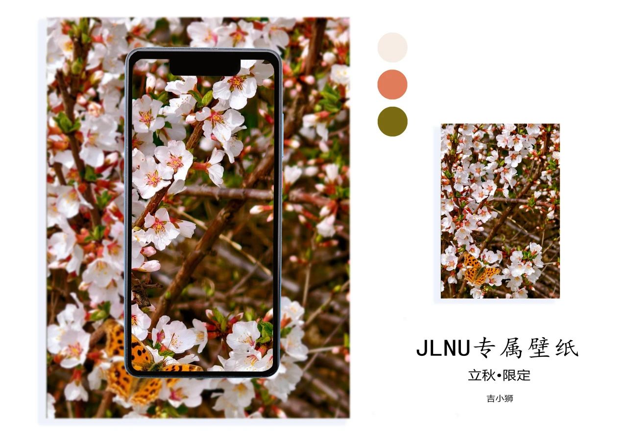 微信图片_20250807204152.jpg 微信图片_20250807204152.jpg