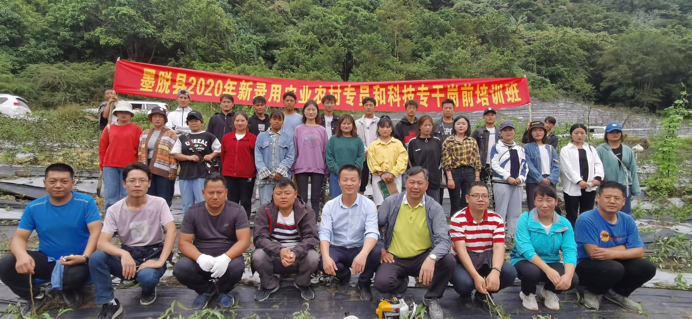 图片 3.jpg 图片 3.jpg