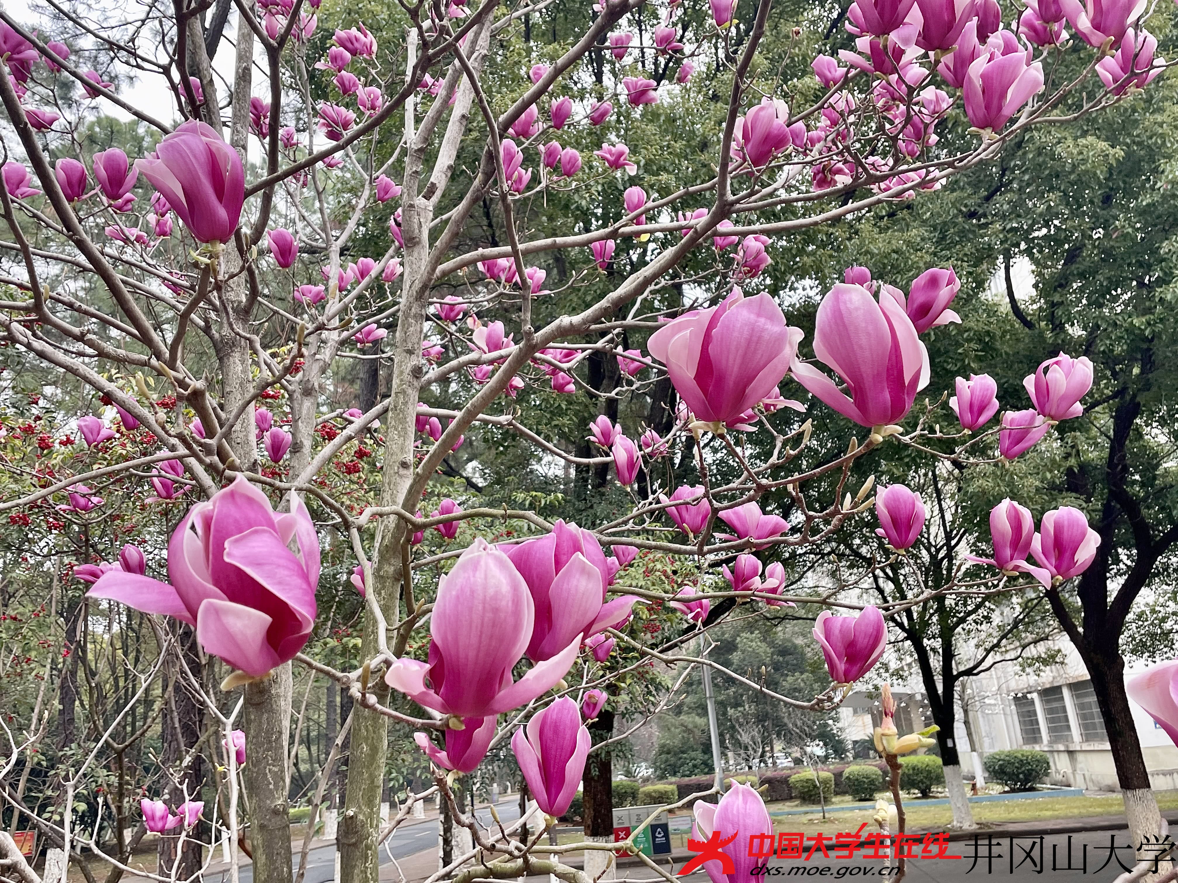 微信图片_20230322120846.jpg 微信图片_20230322120846.jpg
