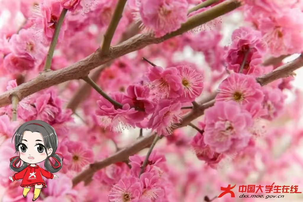 微信图片_20250314220221.jpg 微信图片_20250314220221.jpg