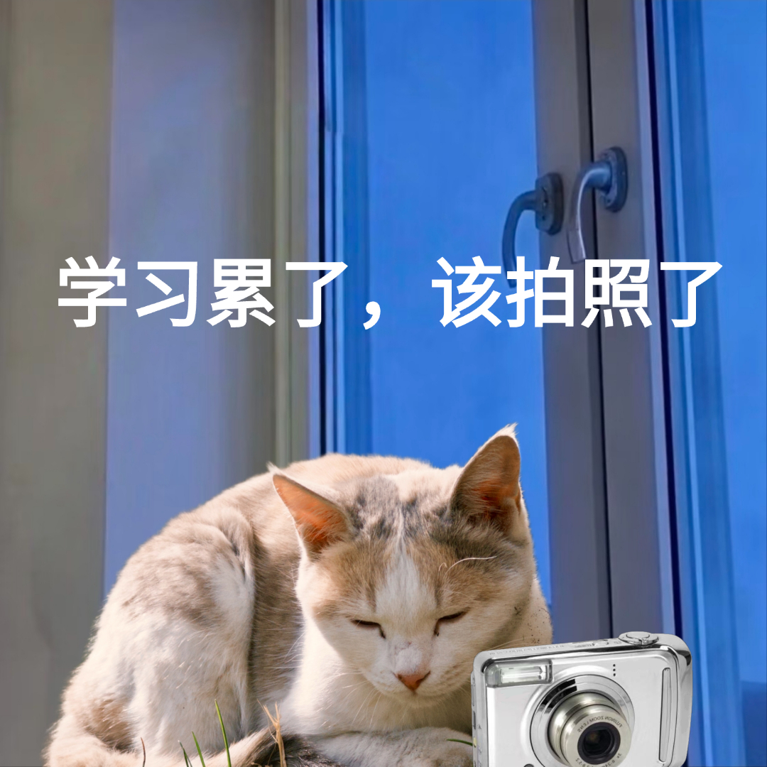 微信图片_2026-06-27_153229_914.png