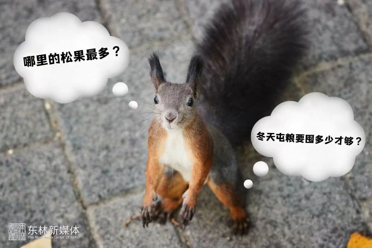 微信图片_2026-10-17_210741_127.jpg