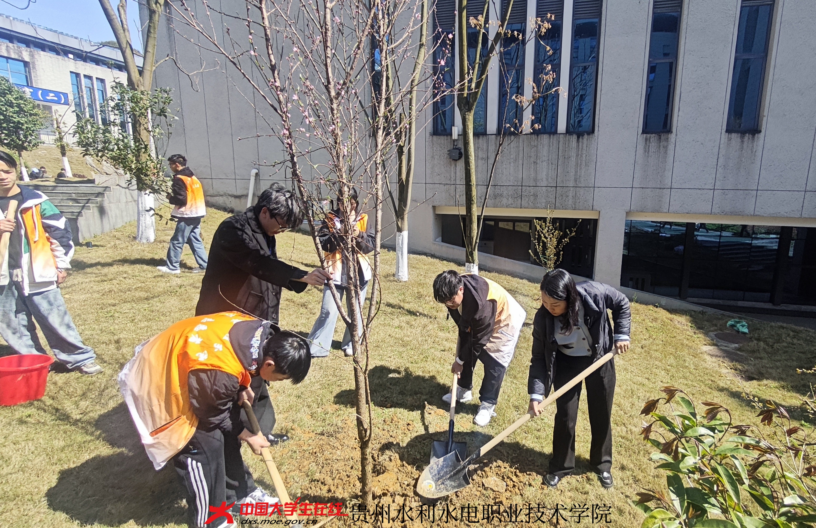 师生植树中(一).jpg 师生植树中(一).jpg