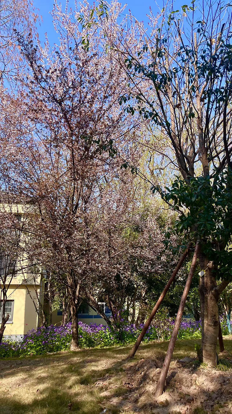 谢怡然参加复试.jpg