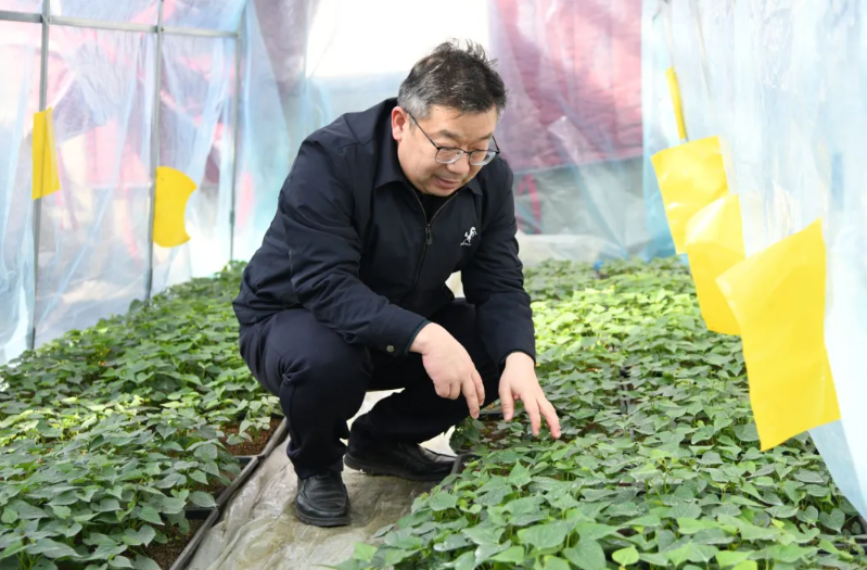 屏幕截图 2025-02-10 215237.png