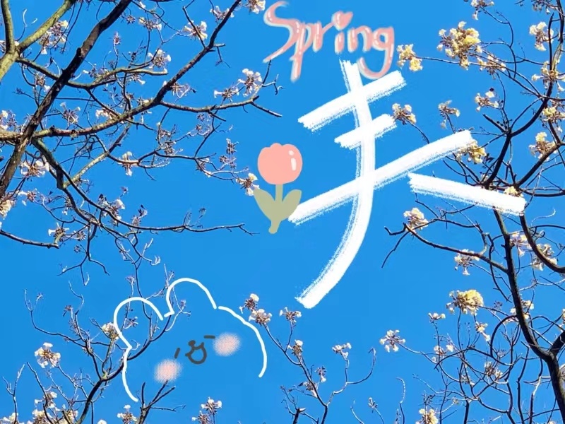 微信图片_20240411150159.jpg 微信图片_20240411150159.jpg