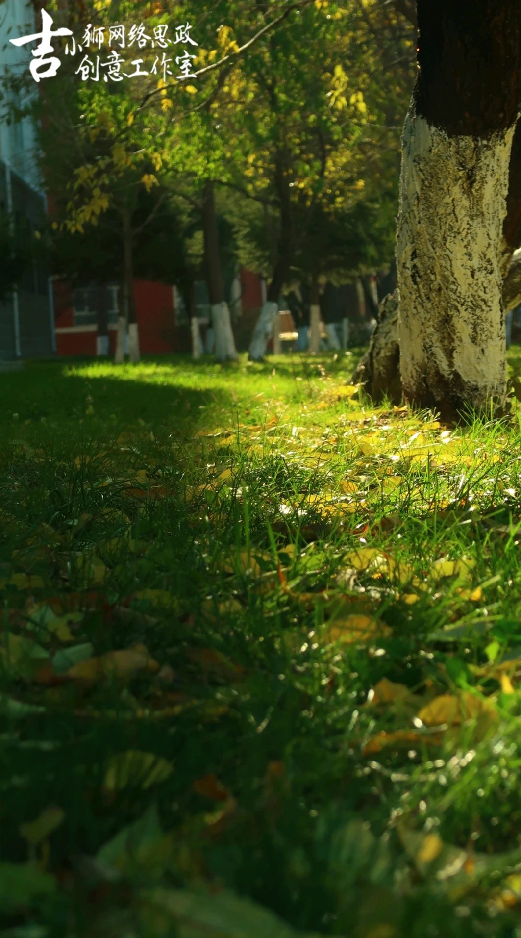 微信图片_20250807204128.jpg 微信图片_20250807204128.jpg