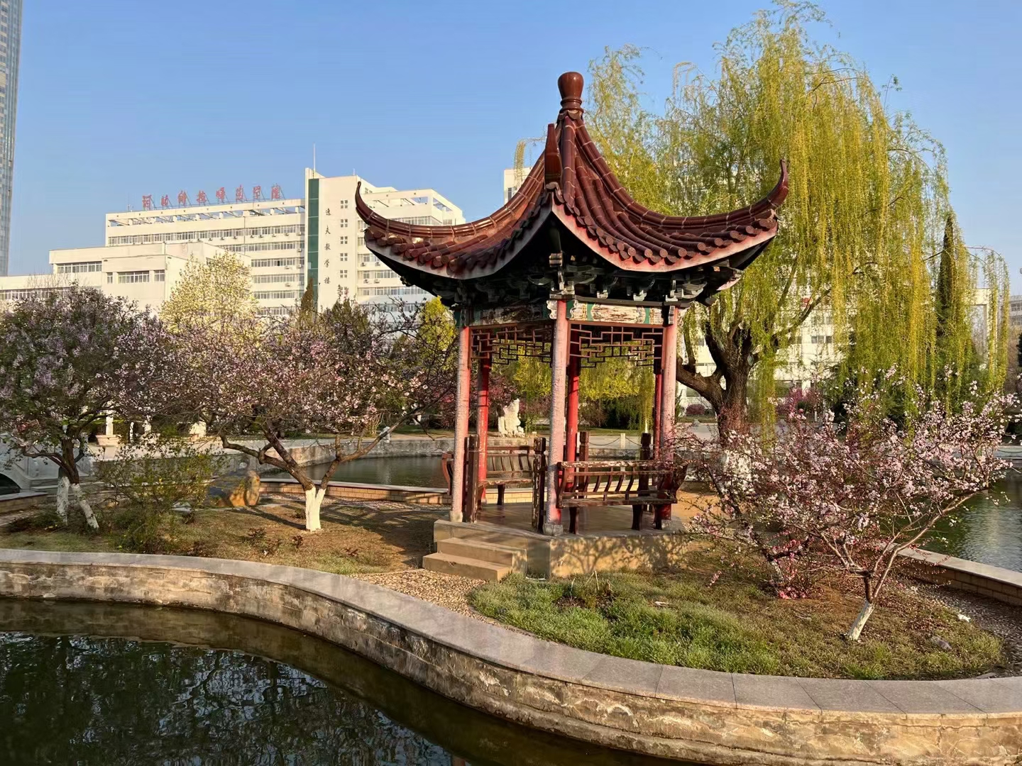 科师曦园拍摄者：姜会.jpg