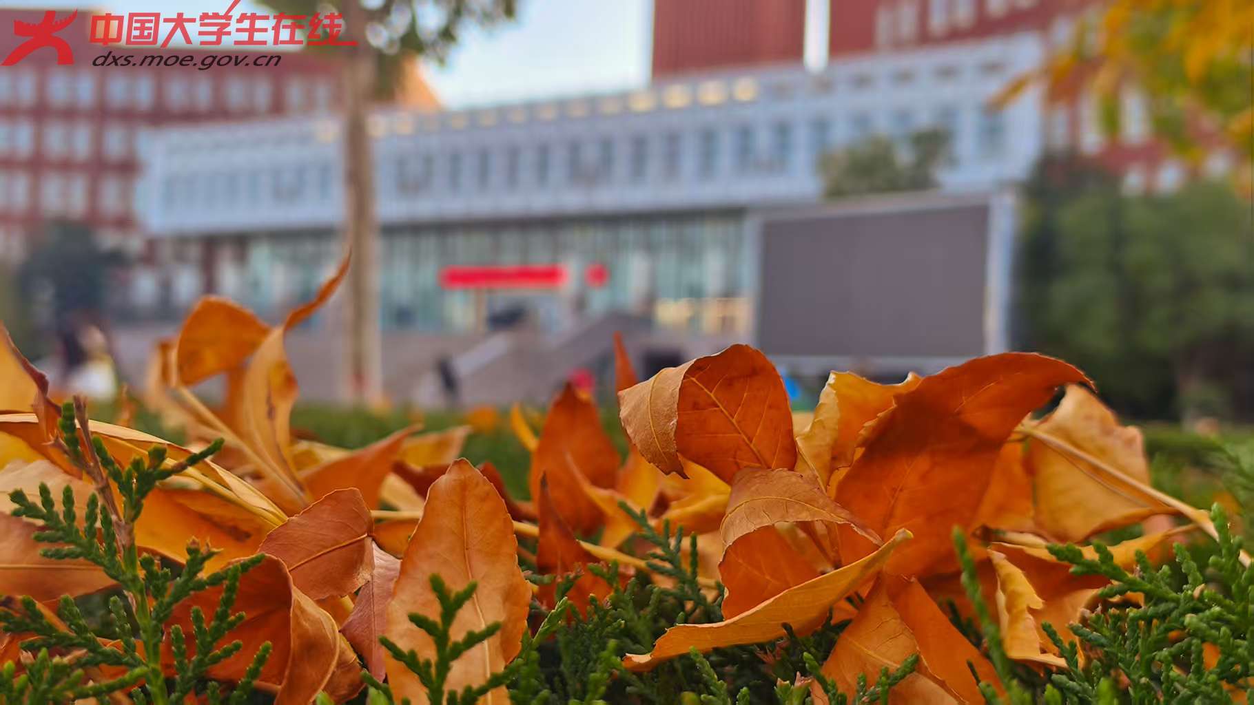 b8944d3978cd15a8adcec9ed11e5b5ec.jpg b8944d3978cd15a8adcec9ed11e5b5ec.jpg