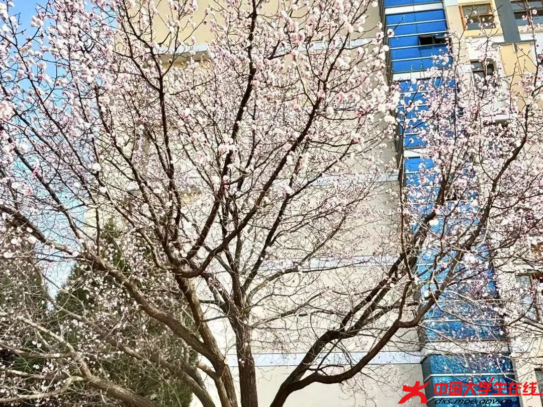 6.2.png 6.2.png