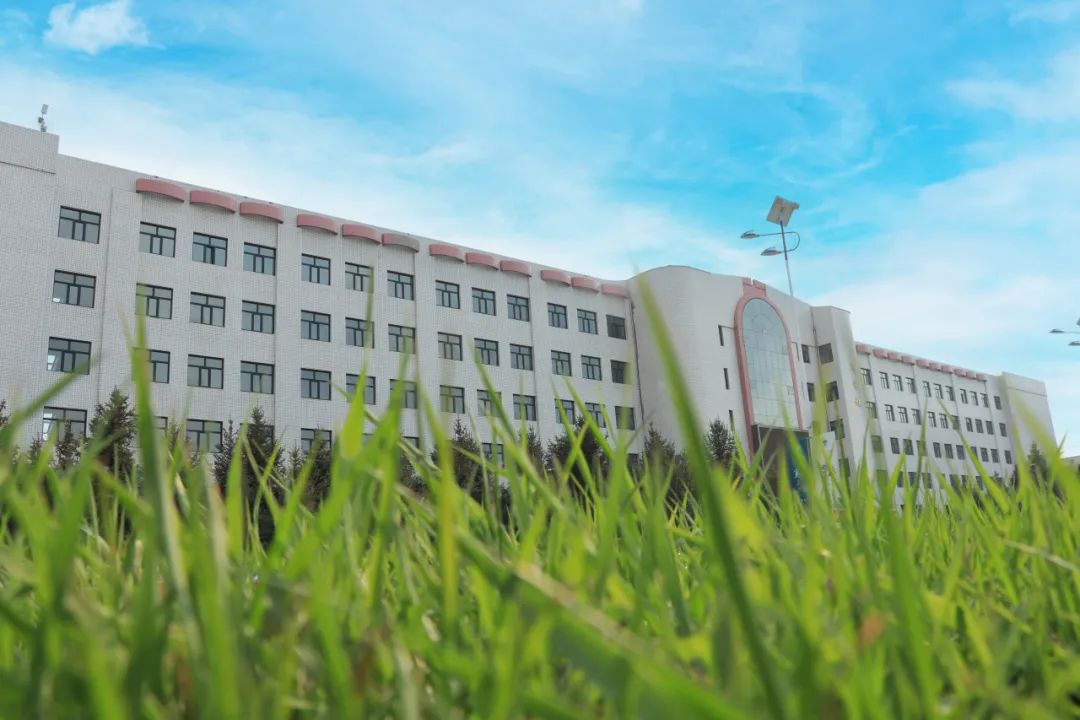 嫩綠的草兒鋪滿校園的每一處空地，像是大自然精心編織的綠毯（圖片拍攝：張朔寧 屈凡茜 李鑫淼 藏青雪 陳靜怡 張世宇 李高揚）