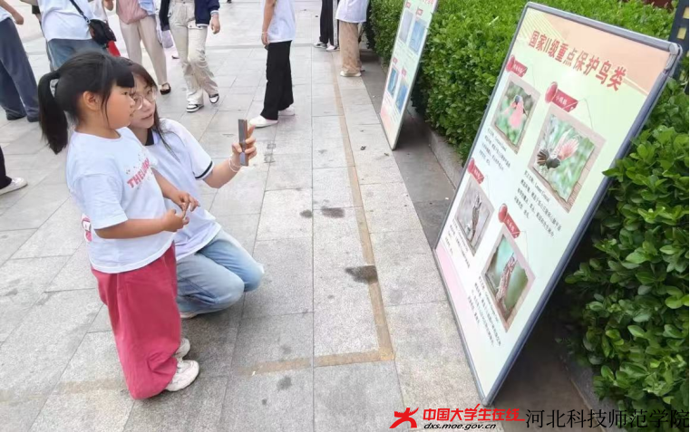 图为志愿者为游客介绍宣传板，刘玥彤摄.jpg