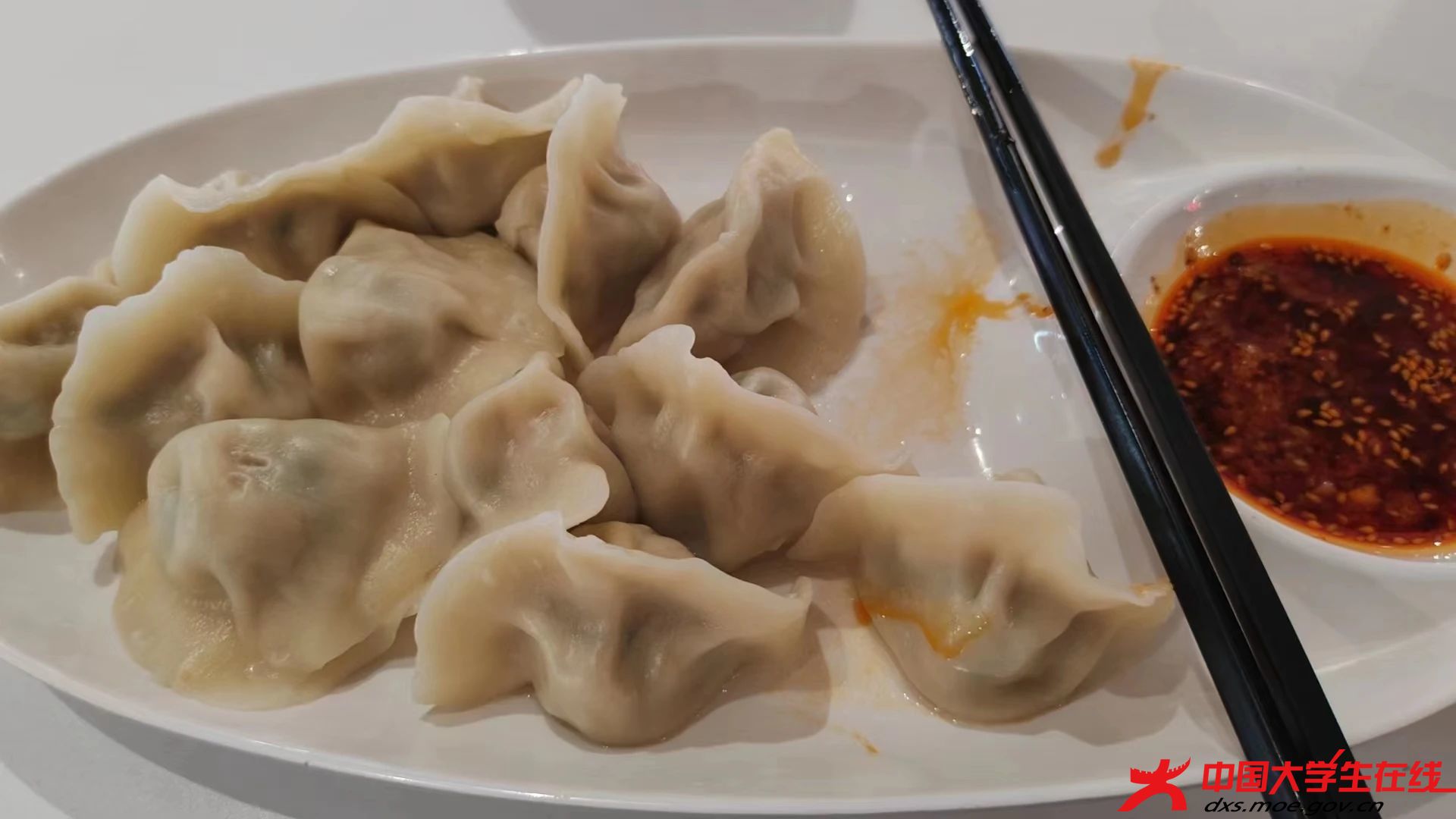 美味的饺子。张佳欣摄.jpg 美味的饺子。张佳欣摄.jpg
