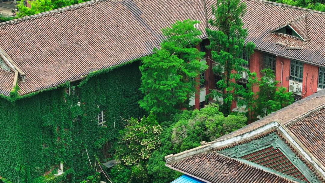 绿色湖大,你“植”得拥有!-31.png 绿色湖大,你“植”得拥有!-31.png