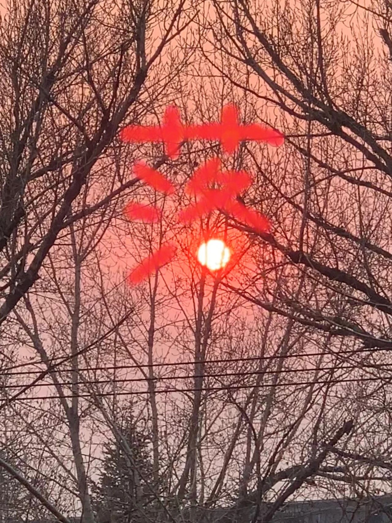 微信图片_20240509122822.jpg 微信图片_20240509122822.jpg