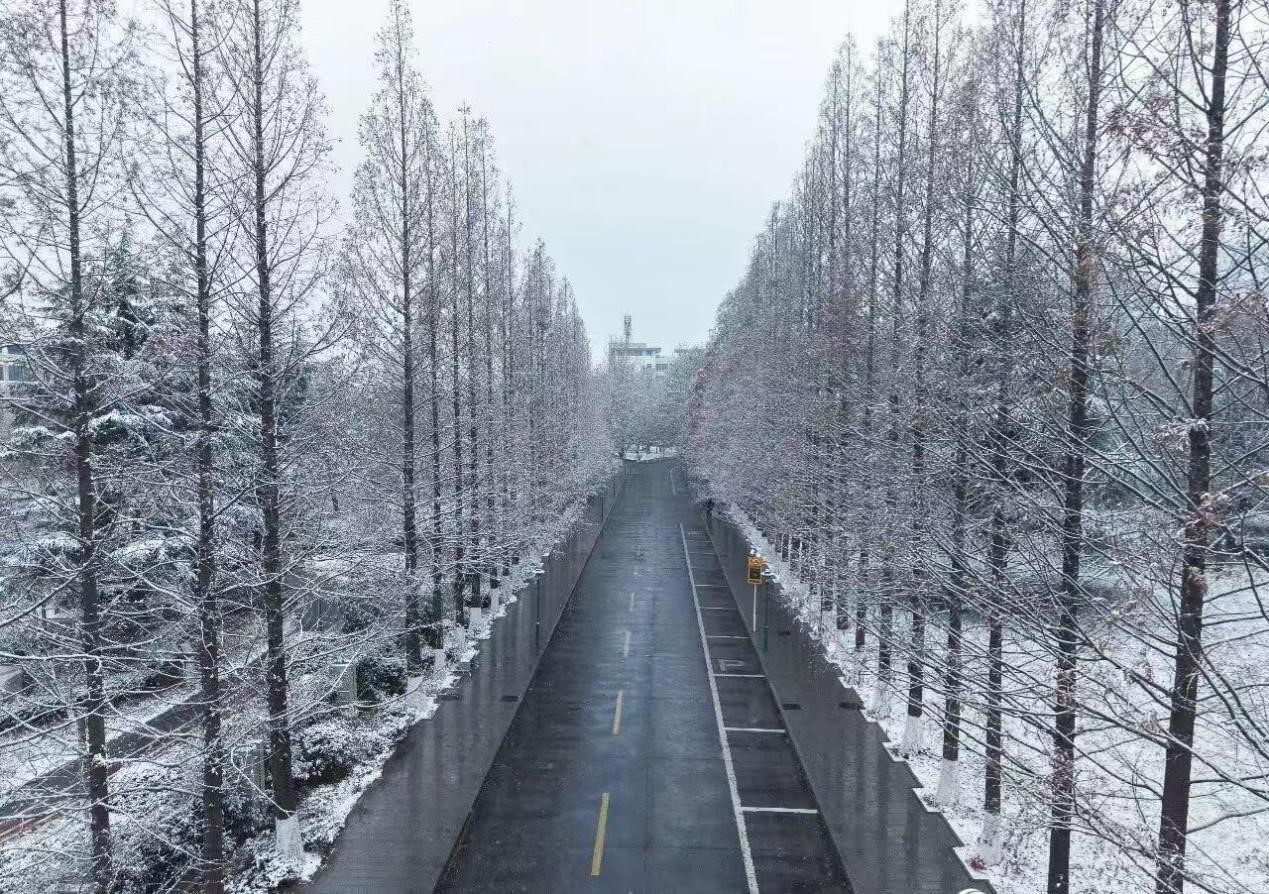 图片1.jpg 图片1.jpg