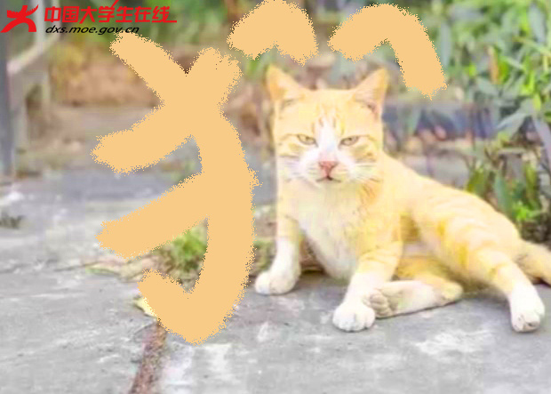 {2D1AC3EB-76E5-4E64-9464-31AED1587BFC}.png.jpg {2D1AC3EB-76E5-4E64-9464-31AED1587BFC}.png.jpg