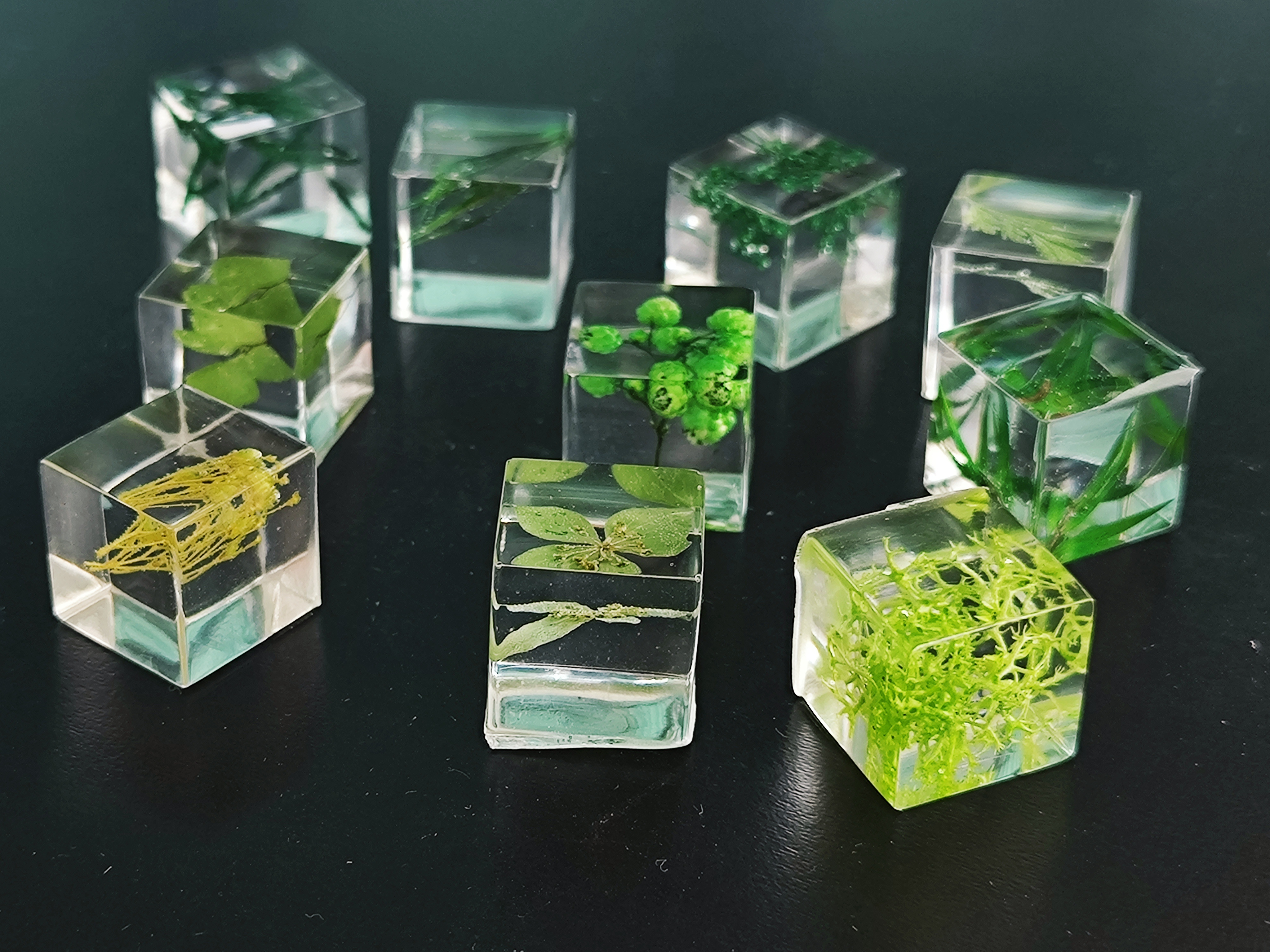 (植物方块滴胶作品作者:黄怡佳 叶雨鸿)