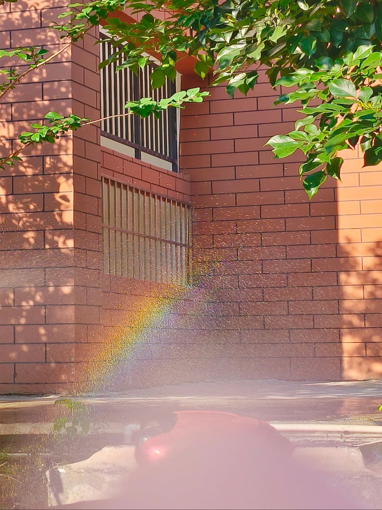 校园里午后的一道彩虹，可以治愈夏日的一切。