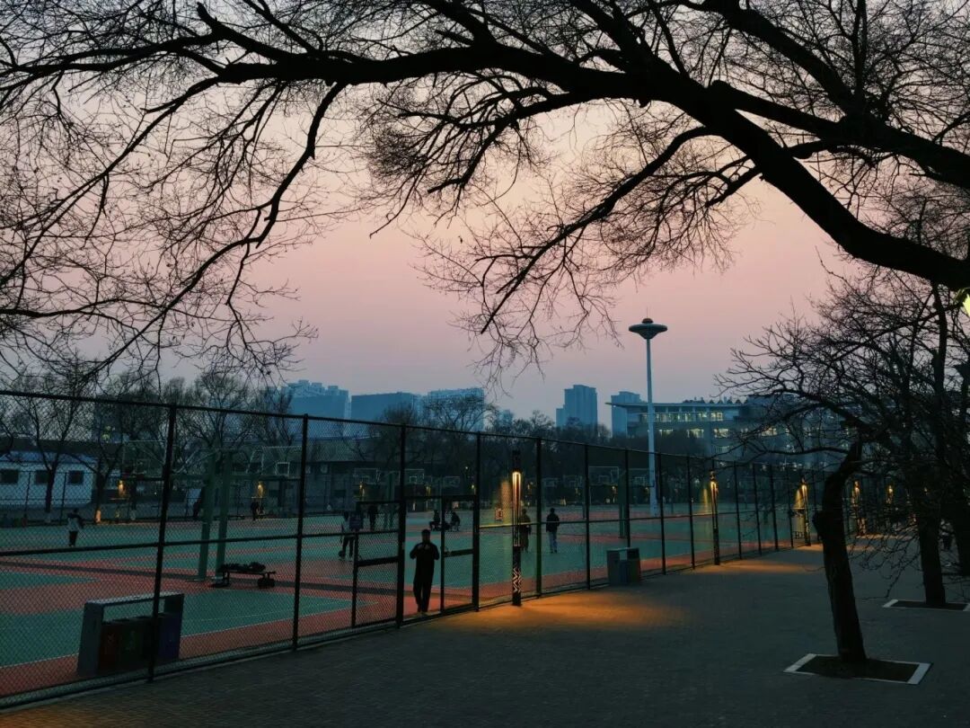 微信图片_2026-04-16_174434_901.jpg