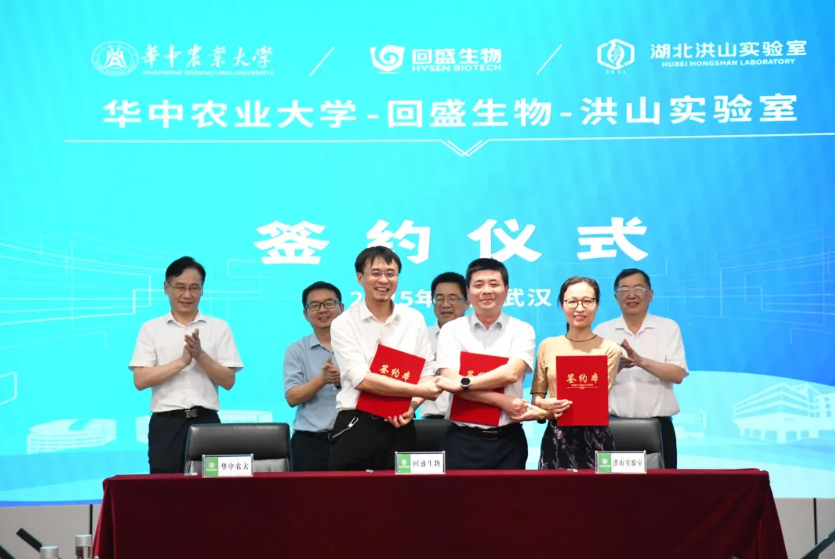 屏幕截图 2025-06-28 233921.png