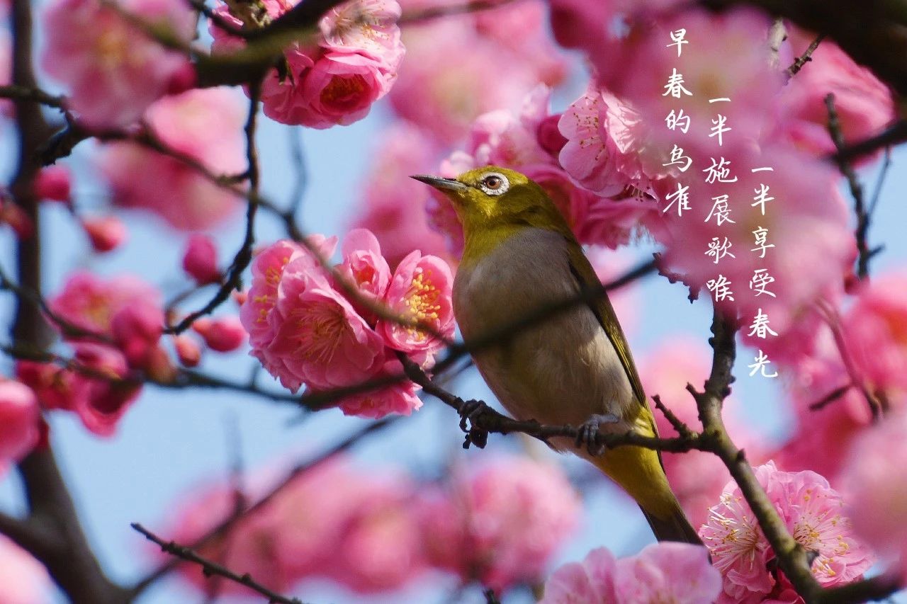 偶尔“摆烂”，时时认真