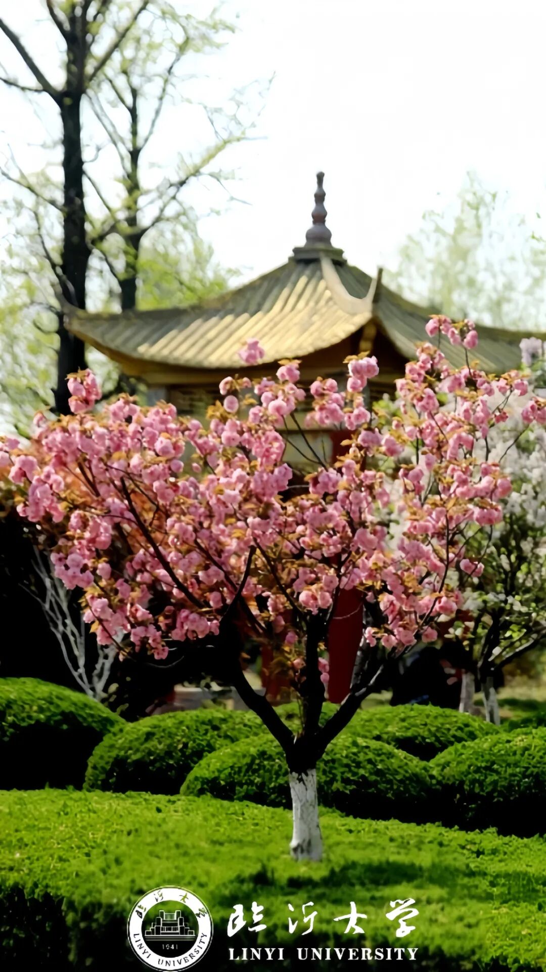 微信图片_2025-12-25_173615_565.jpg 微信图片_2025-12-25_173615_565.jpg