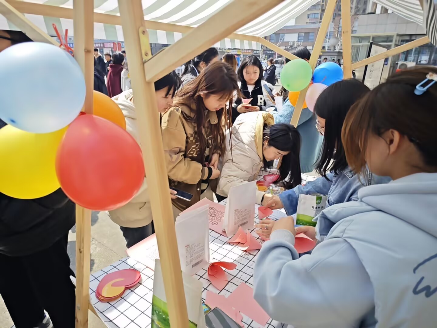 种子集合 图片来源 江苏商贸职业学院.jpg 种子集合 图片来源 江苏商贸职业学院.jpg