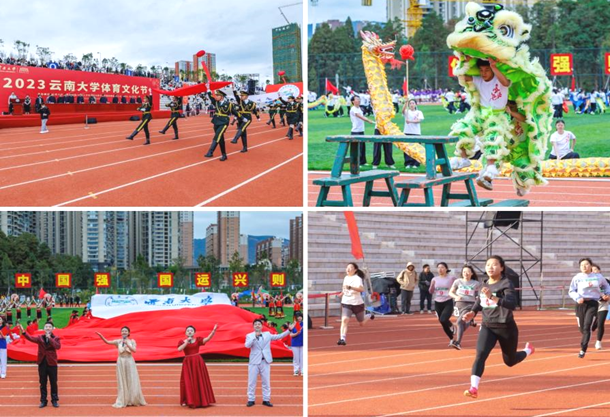 云南大学.png 云南大学.png