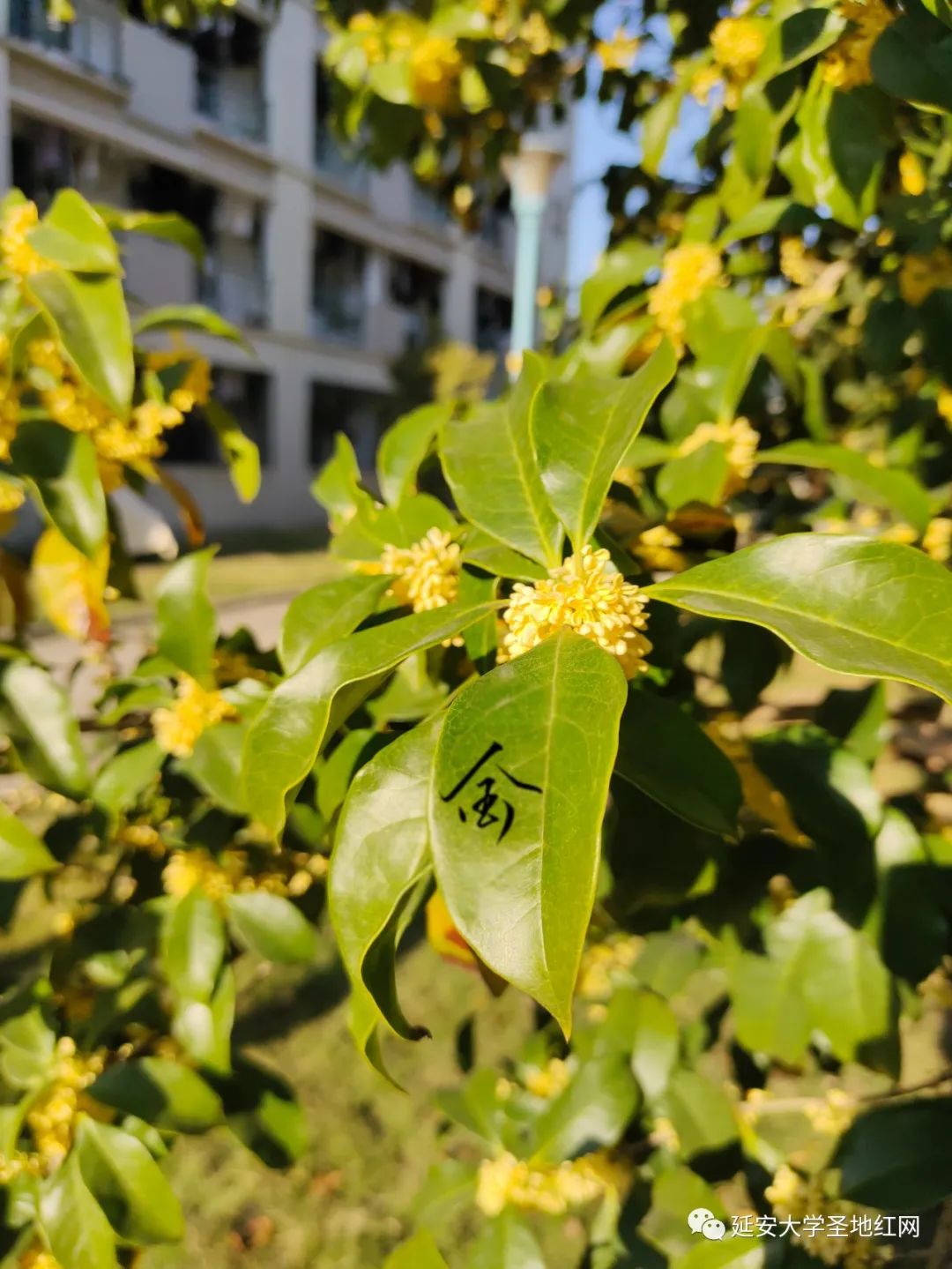微信图片_20221105170335.jpg