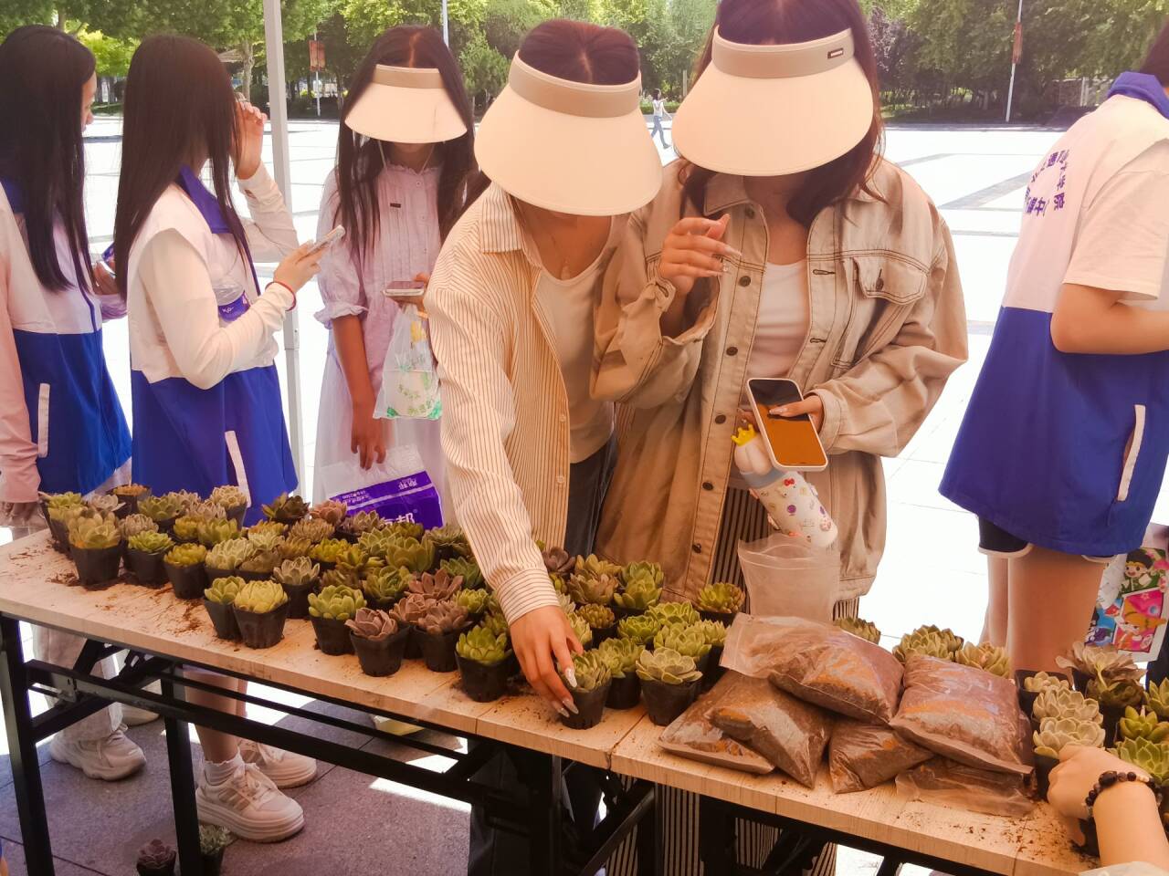 河北交院新媒体中心携小中举办第十四届全国青少年绿植领养活动