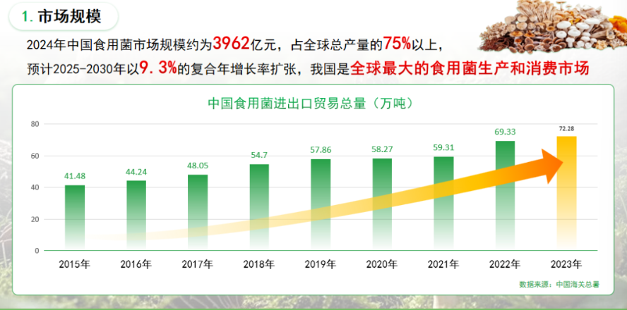 屏幕截图 2025-12-05 194652.png 屏幕截图 2025-12-05 194652.png