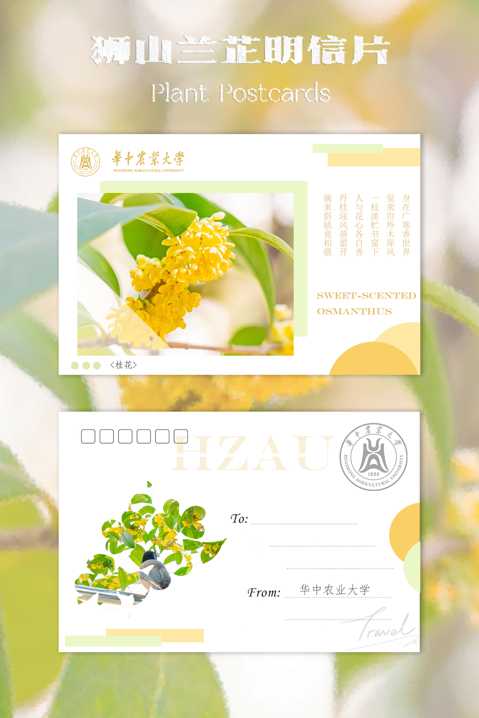 美工｜王亚晶
