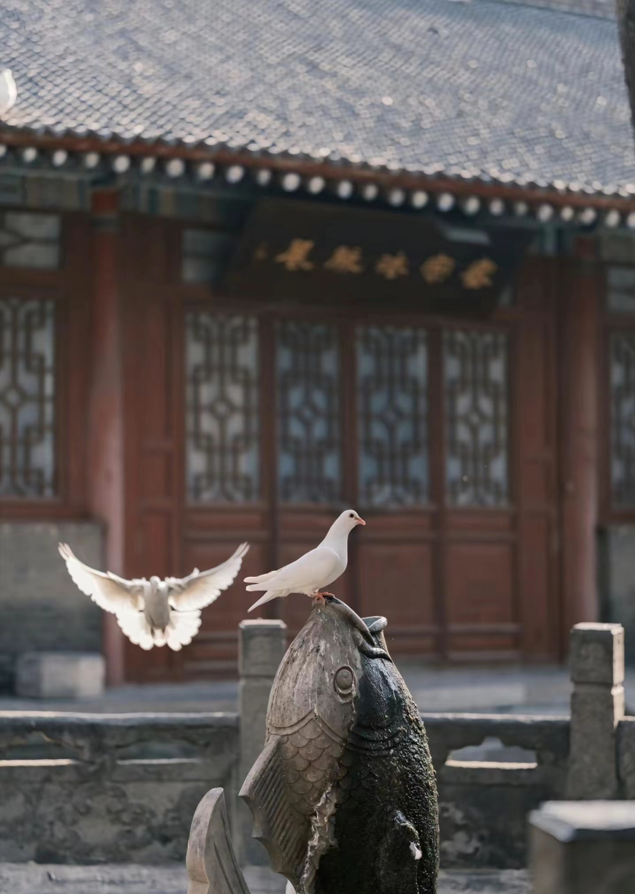 微信图片_20240304163555.png 微信图片_20240304163555.png