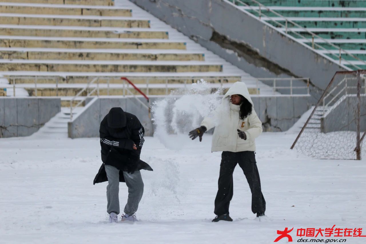 跳舞的雪花。张佳欣摄.jpg 跳舞的雪花。张佳欣摄.jpg
